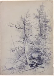 Studie von Bäumen und Felsen, Catskill Mountains, New York, 1849